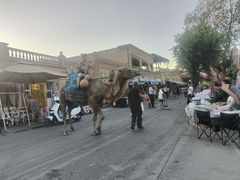 -哈密回王府景区