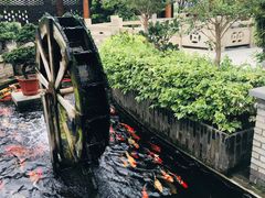 景观位-顺德了能馆(虎门店)