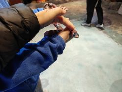 -酷嗒动物文化乐园(cutezoo西溪乐天城店)