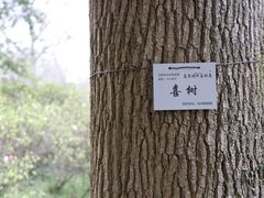 -杭州植物园