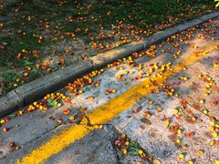 -中医药大学-第2食堂