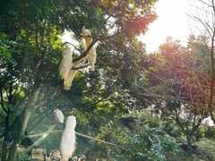 -泉州海丝野生动物世界