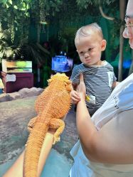 -酷嗒动物文化乐园(cutezoo西溪乐天城店)