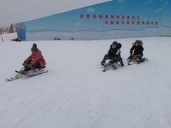 -绿野森林乐园冰雪季