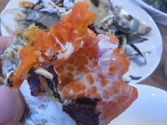 -品鲜村农家菜·阳澄湖大闸蟹(总店)