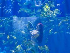 -华夏文旅海洋公园