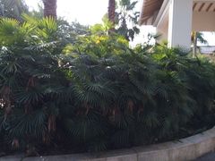 iphone_upload_pic-深圳麒麟山庄