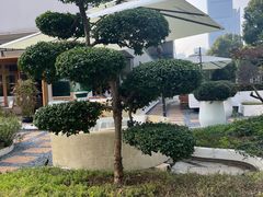 -翠贝卡&Mama Kelly Brunch Coffee(河西店)