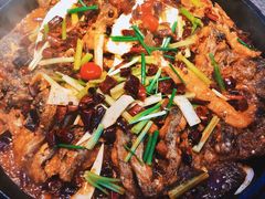 -老板恋上鱼(恒隆广场店)