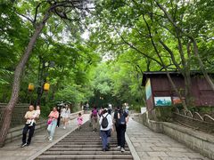 -灵岩山风景区