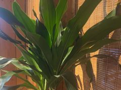 -徽三说·土徽菜·中国徽菜连锁品牌(一中店)