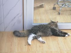 -喜茶(广州番禺奥园广场店)