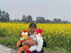 -成都阿姨到家月嫂育儿嫂(华西店)