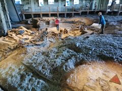 -自贡恐龙博物馆