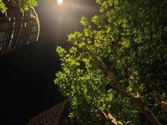 -七宝中学游泳馆