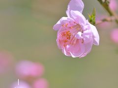 -国家植物园
