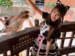-长鹿旅游休博园
