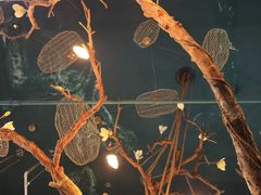 -梧桐树下(云锦世家店)