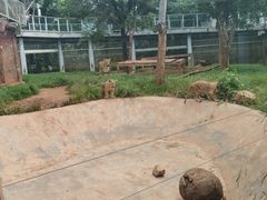 -昆明动物园