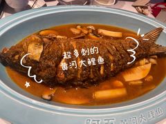 -阿五黄河大鲤鱼(英协路店)