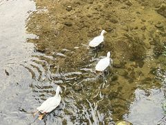 -北京水岸山吧度假村(雁栖镇店)