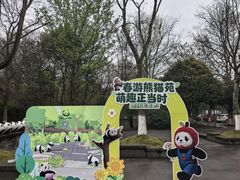 -都江堰中华大熊猫苑