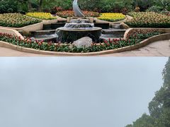 -南山植物园