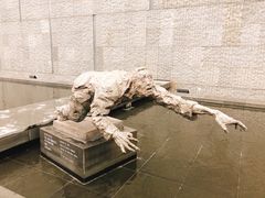 -侵华日军南京大屠杀遇难同胞纪念馆
