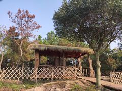 -南京市无想山景区