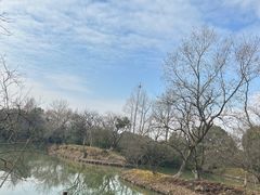 -西溪国家湿地公园