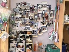 -宠颐生宠物医院·心肾内科·猫专科诊疗中心宠巢店