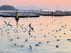 -青岛海滨风景区
