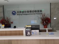-北京派仕佳德动物医院·超导核磁·CT·神经科·骨科·内外科·急重症管理中心