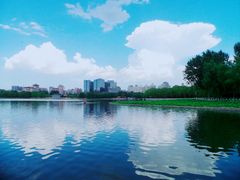 -莲花池公园