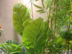 -施奈儿.洗头頭療.按摩SPA.采耳(上梅林店)