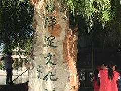 -白洋淀景区