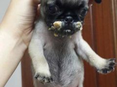 -美联众合24小时·皮肤科·外科·全科诊疗中心(华苑分院)