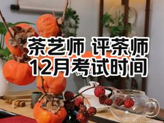 -诗宇时光茶艺书法古琴培训