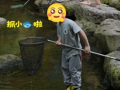-重庆彩云湖湿地公园