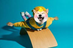 -INKIDS潮童社儿童摄影(朝阳大悦城店)