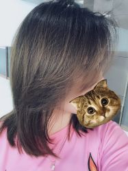 -尚·丹尼Hair
