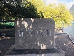 -抚仙湖禄充风景区