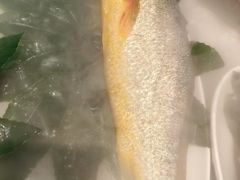 -百富源·海鲜辽菜(张士店)