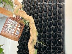 -苗祖咖啡(洛克时代中心店)