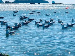 -银沙滩浴场