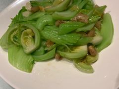 -鹅城