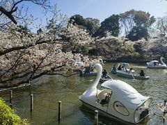 -井之头恩赐公园