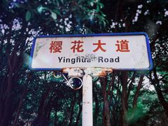 -武汉大学-樱园