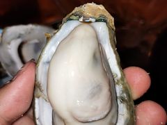 -土蚝·高压锅生蚝(百姓美食街店)