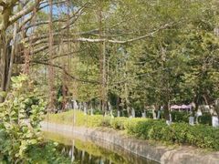 -厦门大学(思明校区)